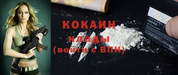 дживик Новодвинск