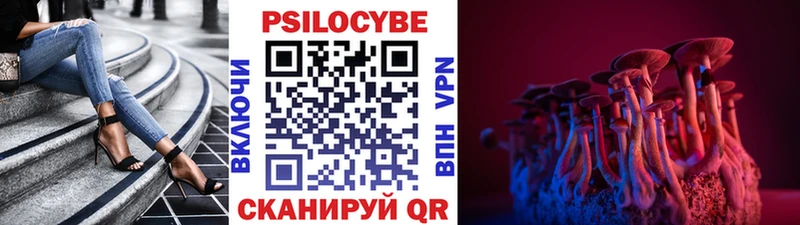 Галлюциногенные грибы MAGIC MUSHROOMS Нефтекумск